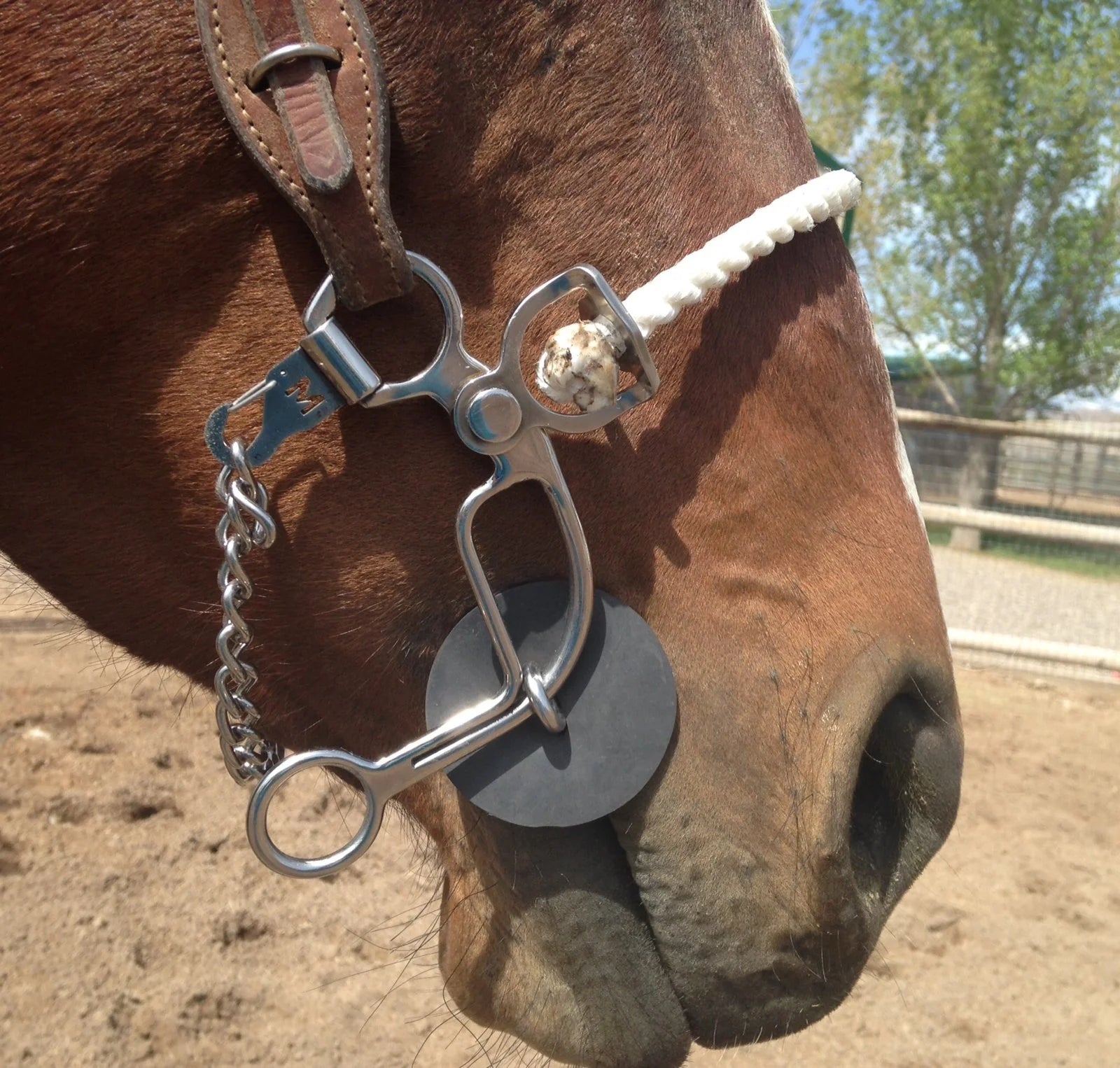 Merrill Bits Combination Twisted Wire Dogbone