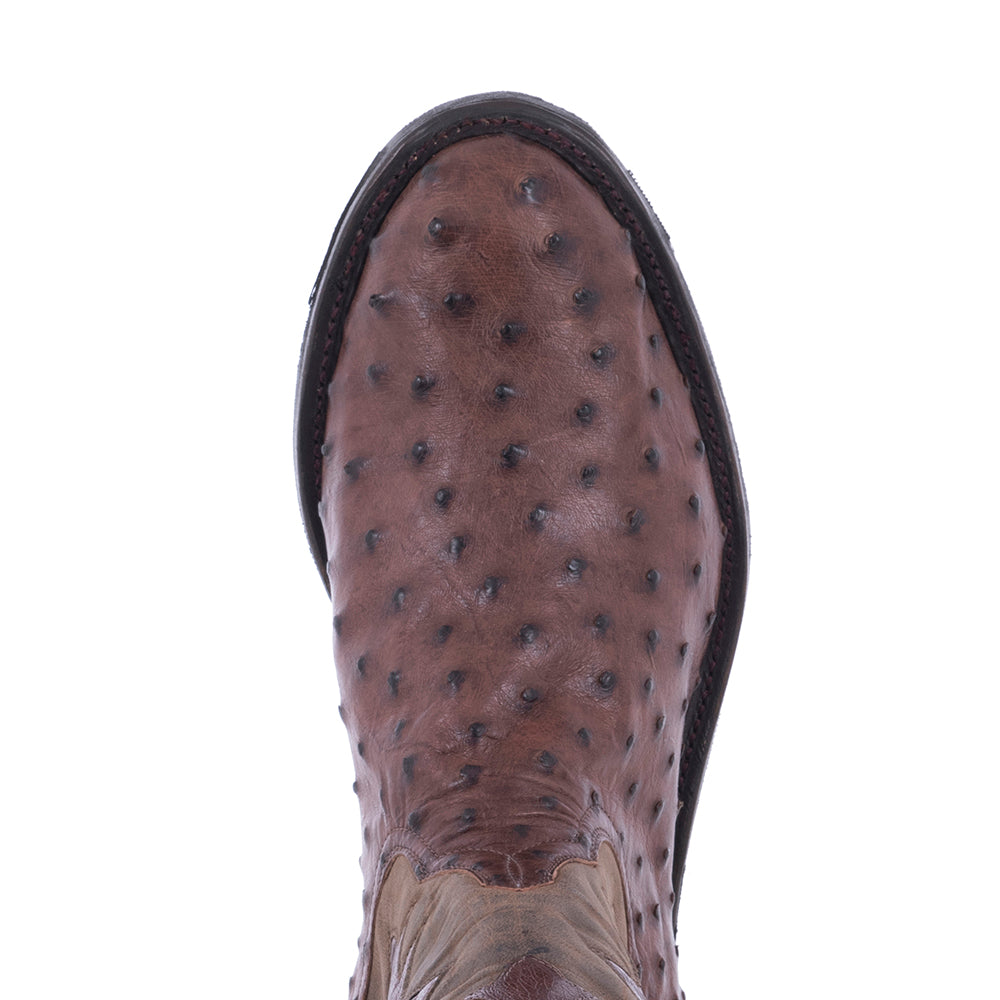 Men's Roper 12" Kango CC FQ Ostrich Tobac Goat Upper GP Inlay