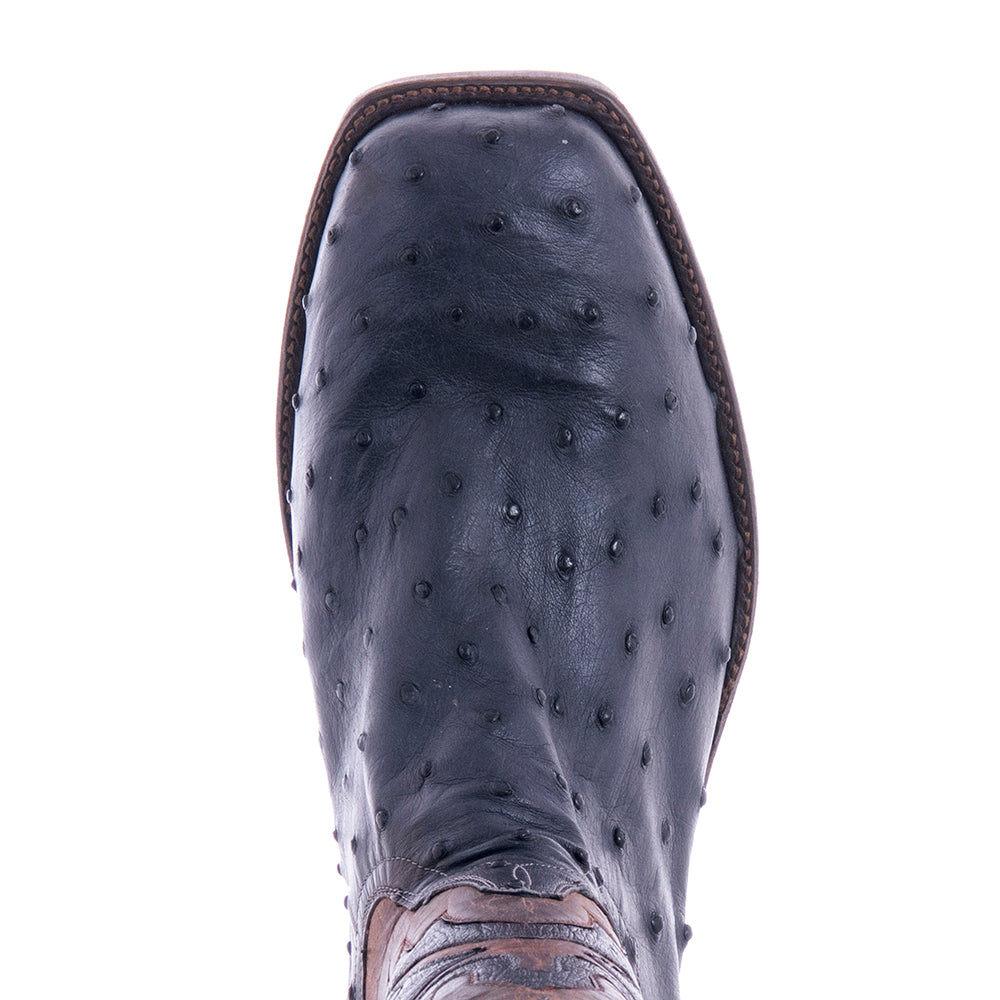 Men's Cowboy 12-2 Navy CC FQ Ostrich/Canella Goat Fern Inlay Spur Lip