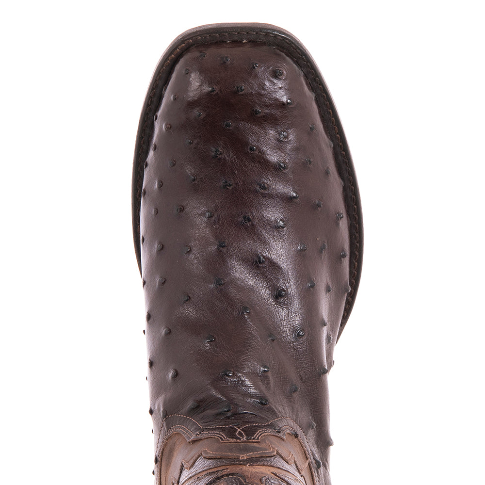 Men's Cowboy 12-2 Nicotine CC FQ Ostrich/Canella Goat Fern Inlay Spur Lip