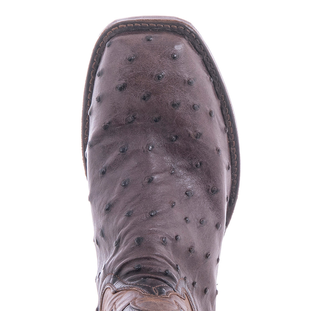 Ladies Cowboy 12-2 Nicotine CC FQ Ostrich/Canella Goat Fern Inlay Spur Lip