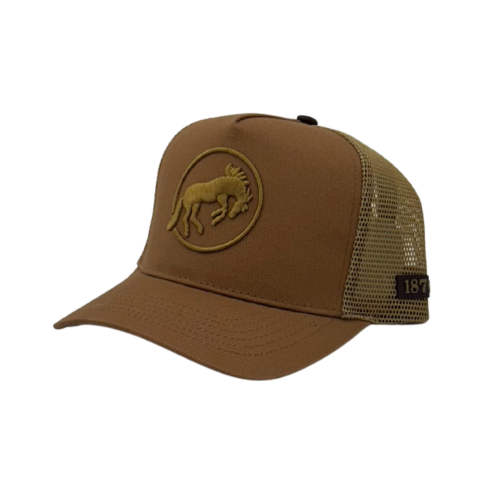 TAN LUNA LOGO BALL CAP